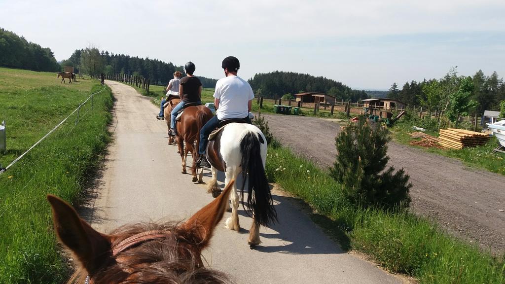 Q Ranch Bezdekov (Jihlava) Exterior foto