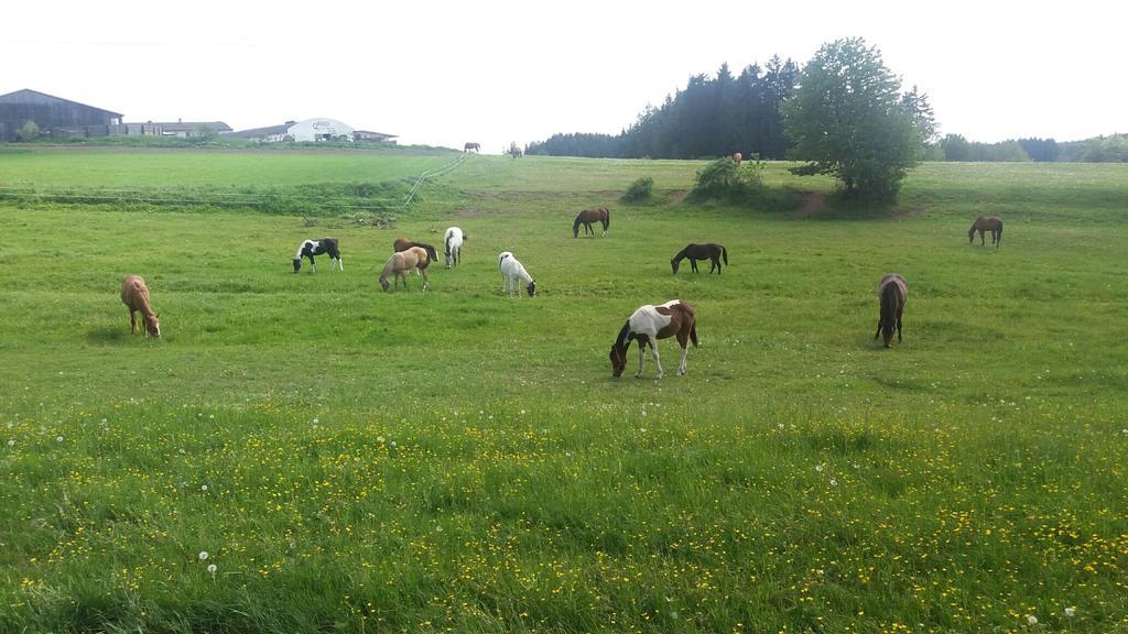 Q Ranch Bezdekov (Jihlava) Exterior foto